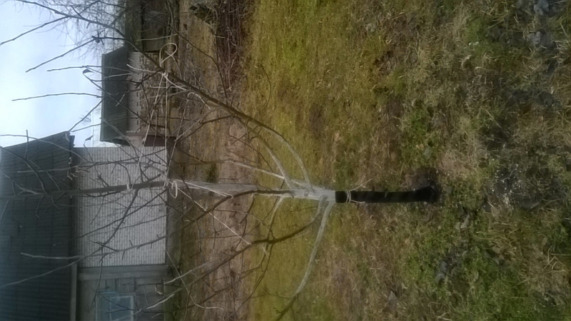 IMG-20190317-WA0001.jpg
