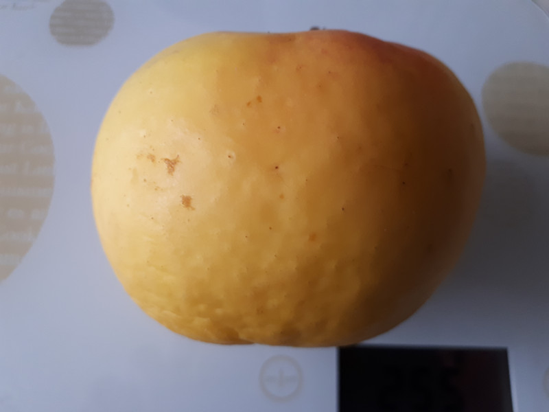 20190324_104718.jpg