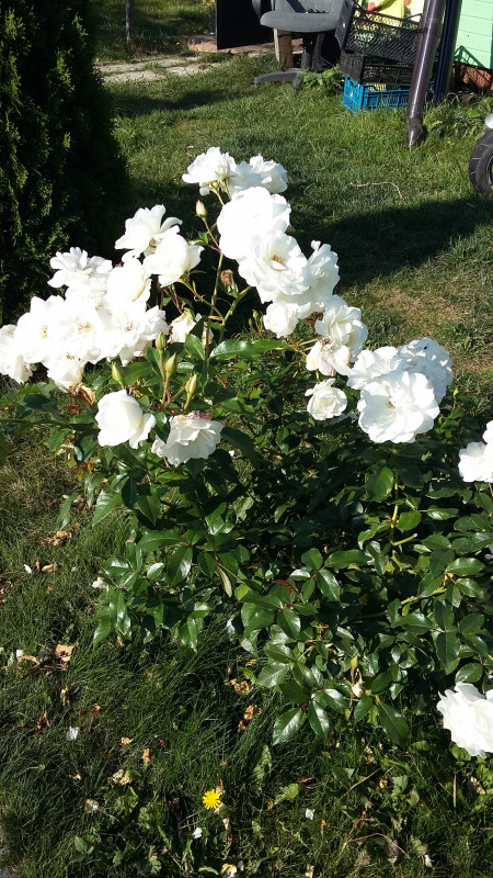 20180922_095444.jpg