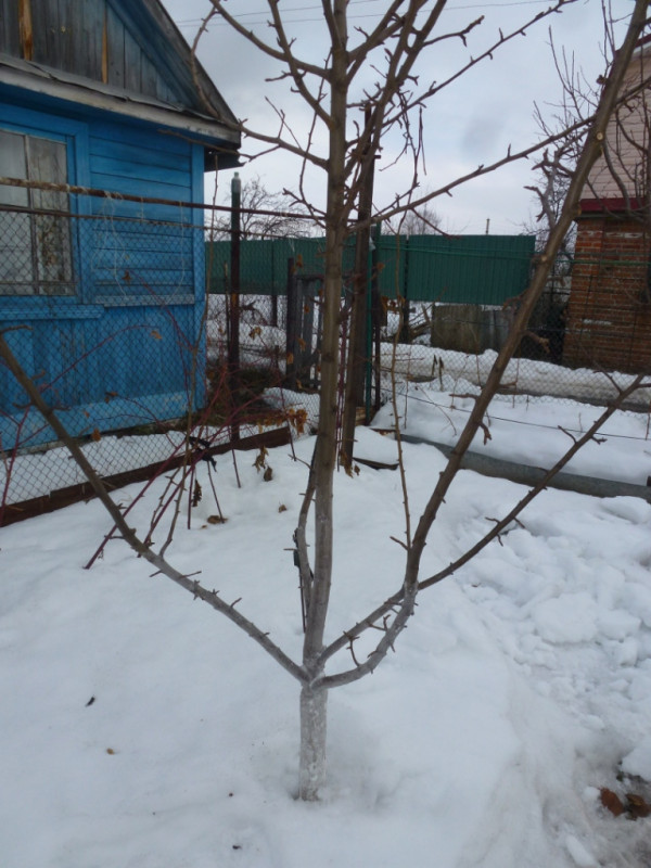 24.03.2019