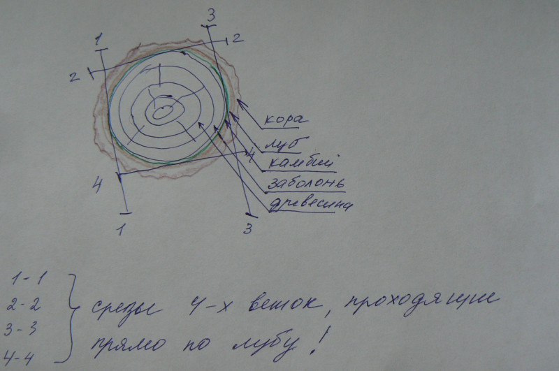 P1420299.JPG