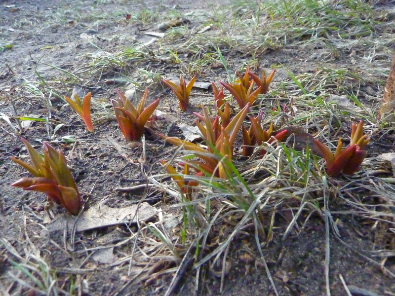 P1220194.JPG