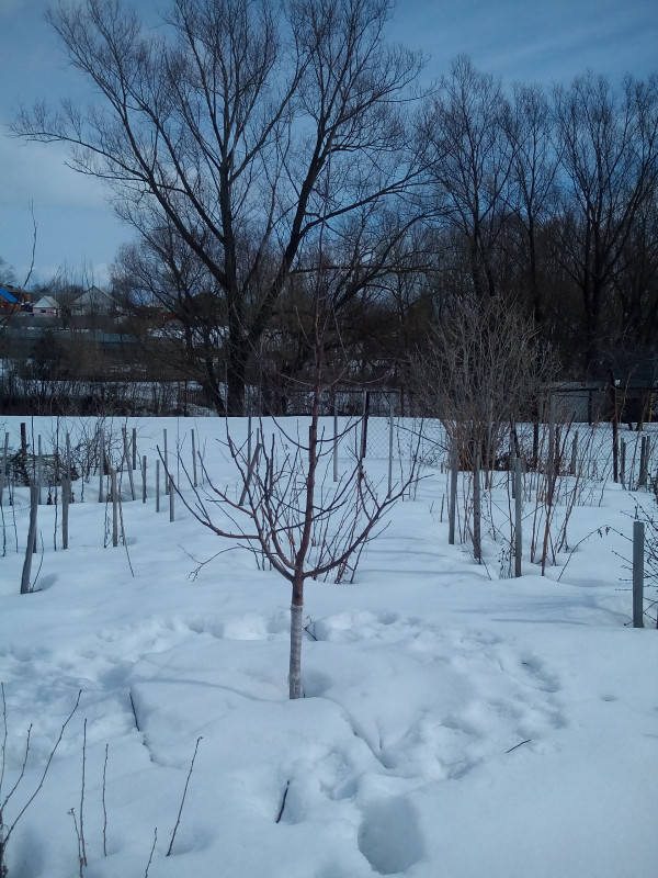 IMG_20190327_123227.jpg