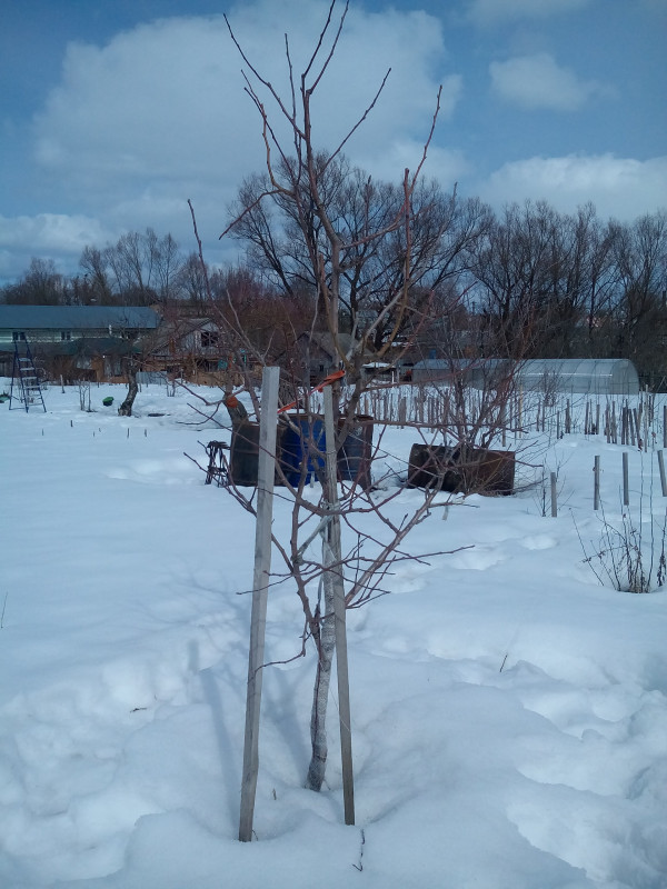 IMG_20190327_123057.jpg