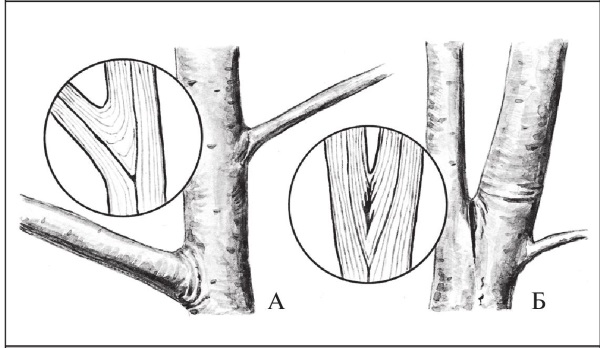 i_107.jpg