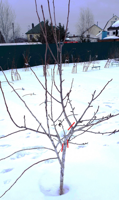 20190316_181632_обрезка.jpg