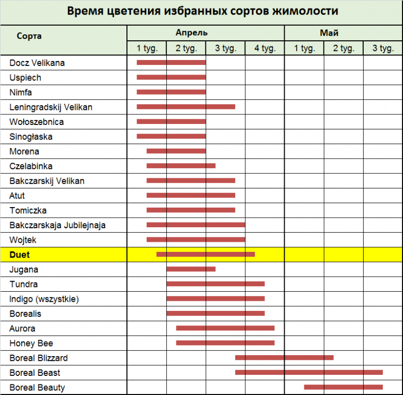 Дуэт - цветение.png