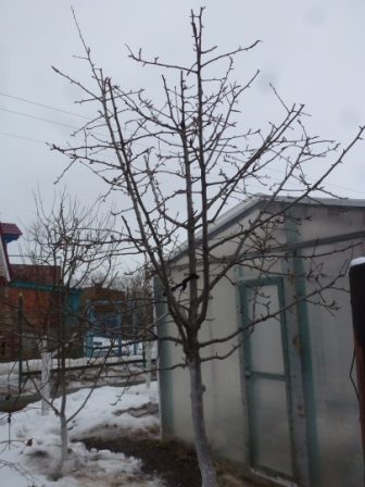 P2050301.JPG
