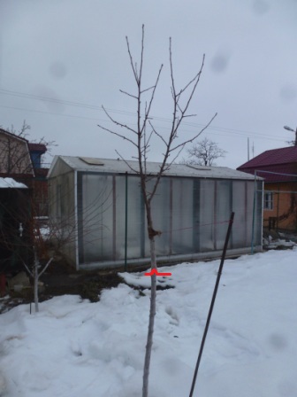 P2050295.JPG