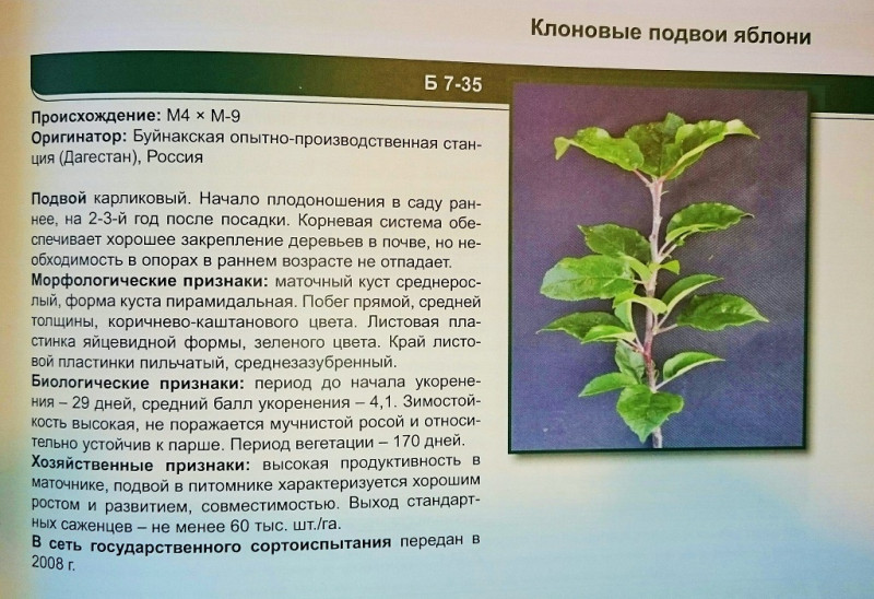 Б7-35_.jpg