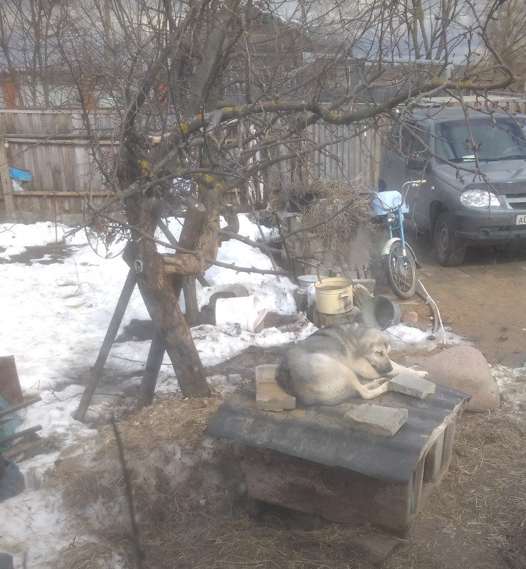 IMG_20190403_212328.jpg