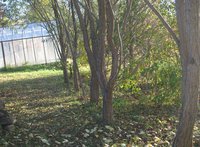IMG_5567.JPG
