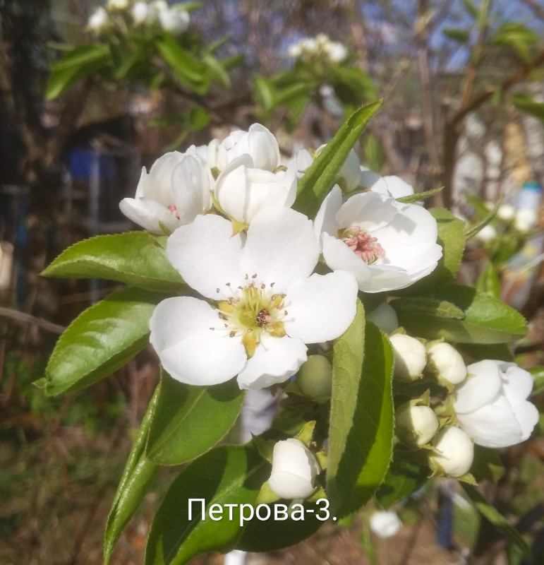 IMG_20190506_203334.jpg