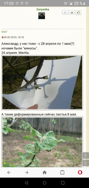 Screenshot_20190510-170354-600x1267.jpg