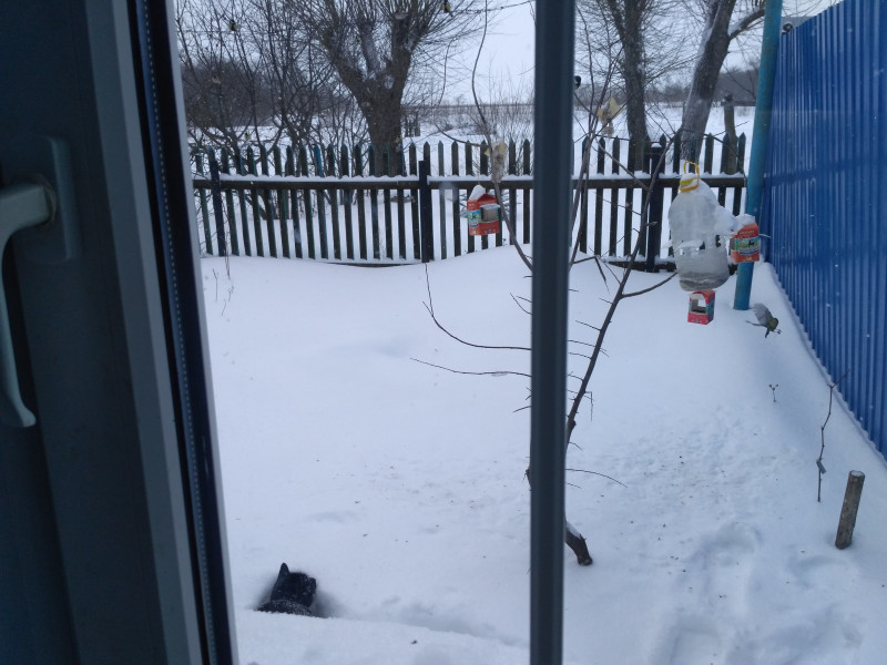 IMG_20180228_110743.jpg