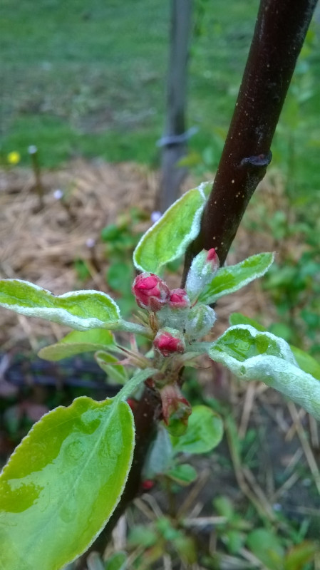 WP_20190511_004.jpg