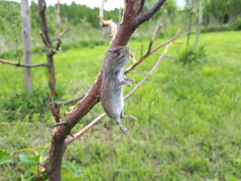 20190512_132752.jpg