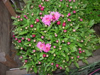 DSCN7964.JPG