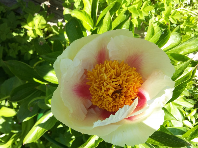 20190519_144941.jpg