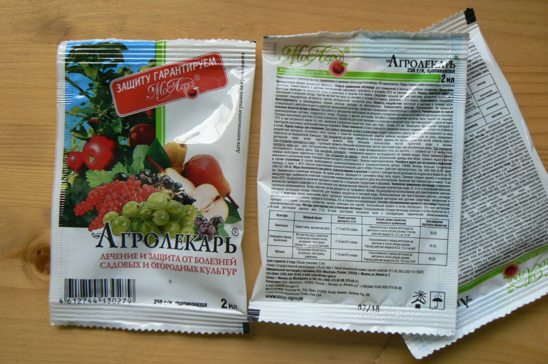 P1430529.JPG