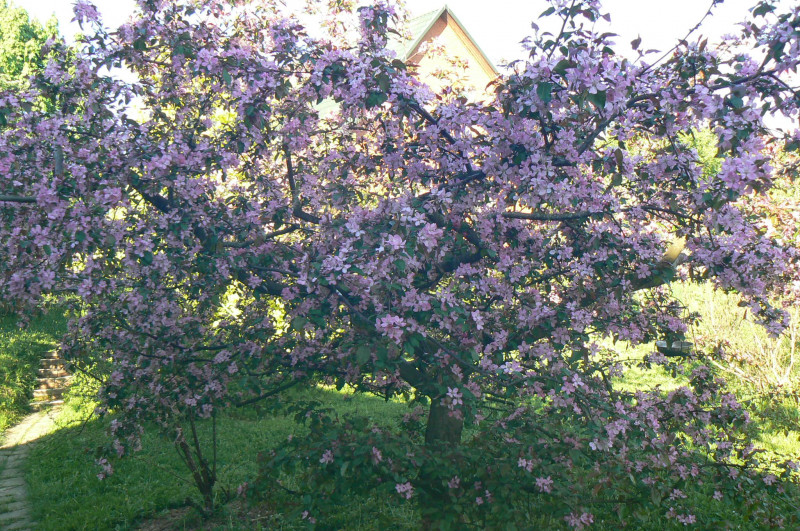 P1430435.JPG