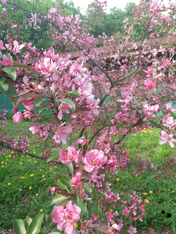 20190520_221508.jpg