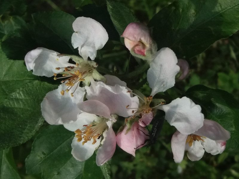 20190514_161726.jpg