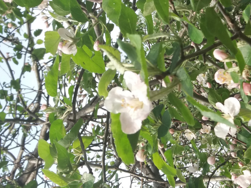 20190514_161701.jpg