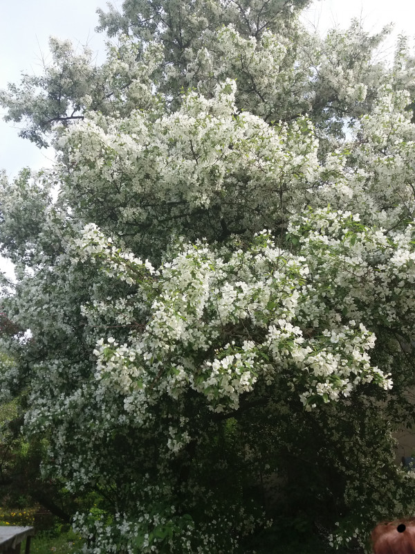 20190520_223819.jpg