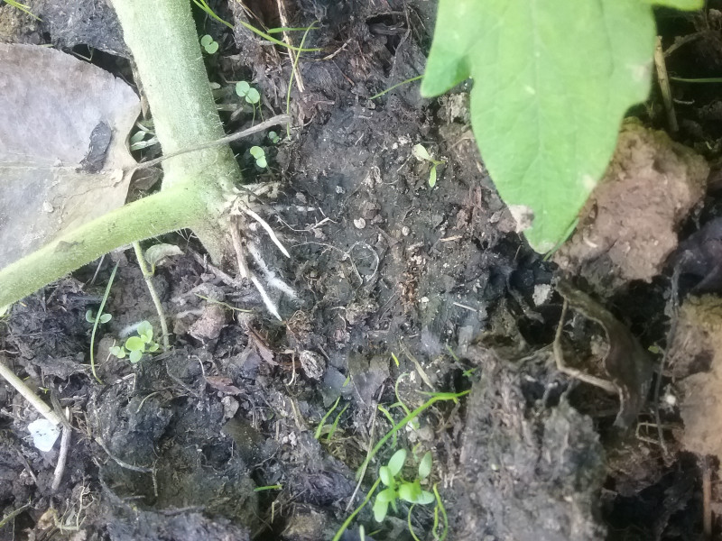 20190517_102001.jpg