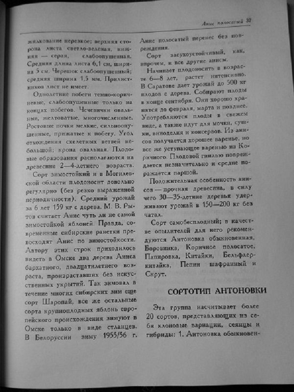 DSCN8342.JPG