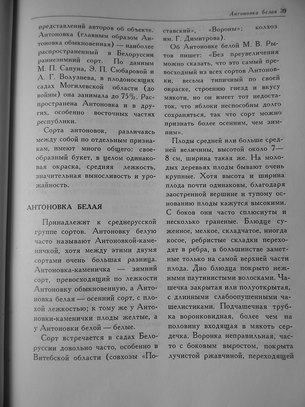 DSCN8344.JPG