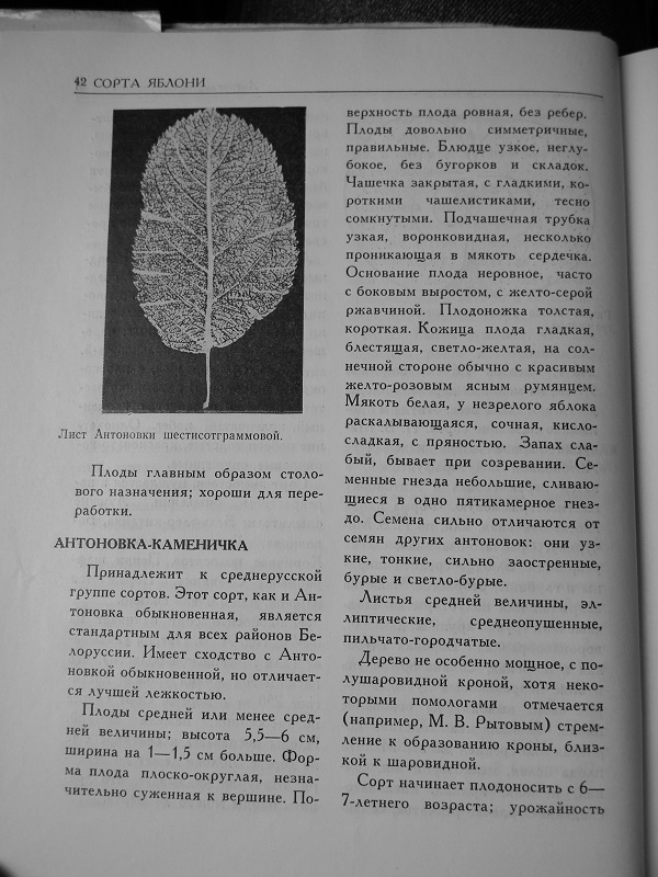 DSCN8347.JPG