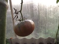 DSCF0550.jpg