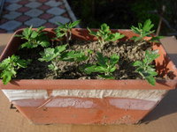 DSCN8022.JPG