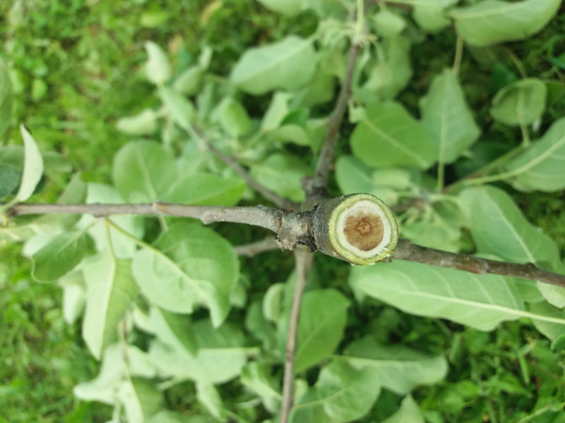 20190602_125139.jpg