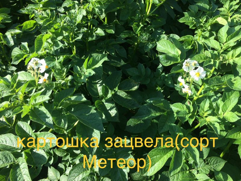 B497F7EF-B3C5-468A-A1CC-1E4B88F215FD.jpeg