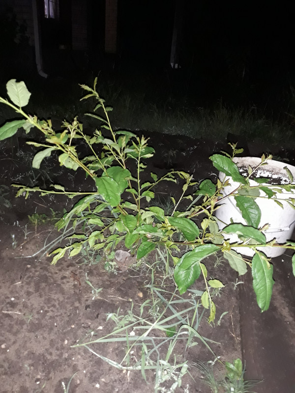 20190601_000048.jpg
