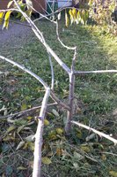 IMG_2013101726920.jpg