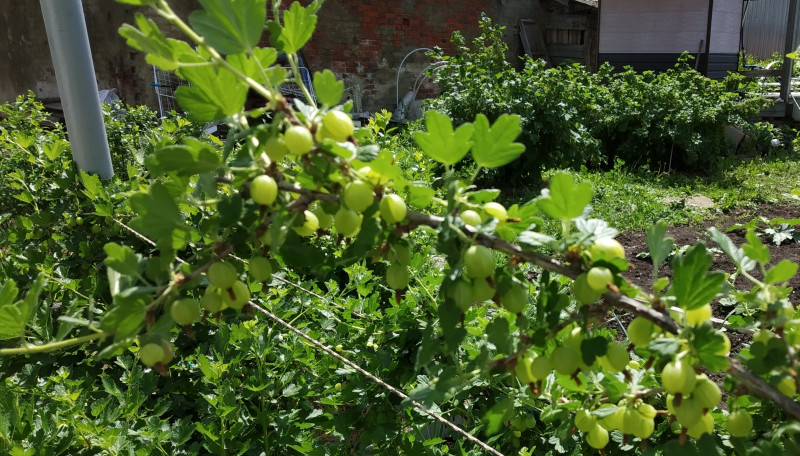 2019-06-03 12-54-24.jpg