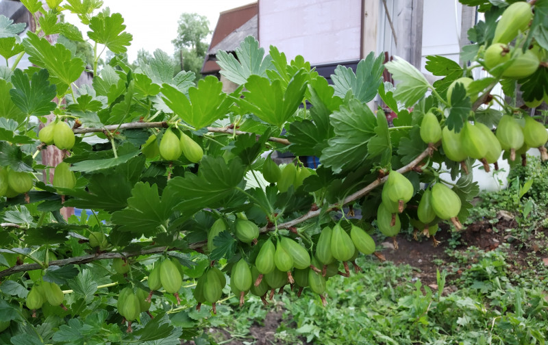 2019-06-03 12-52-47.jpg