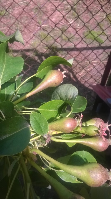WP_20190601_003.jpg