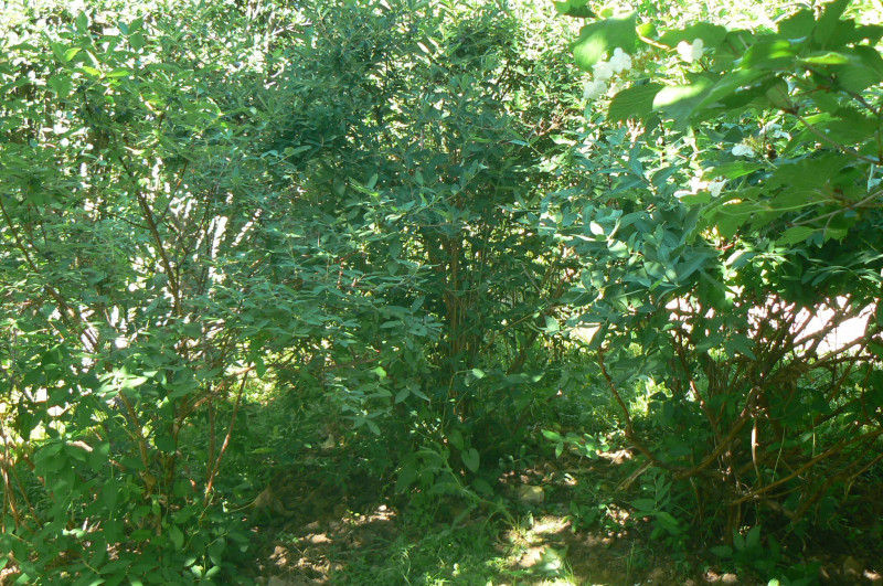 P1430834.JPG