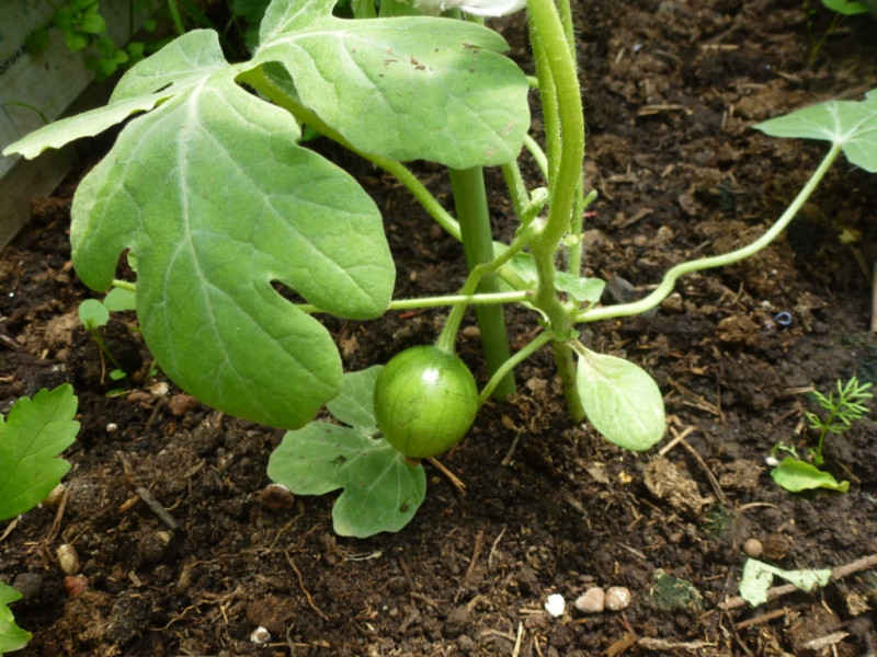 09.06.2019