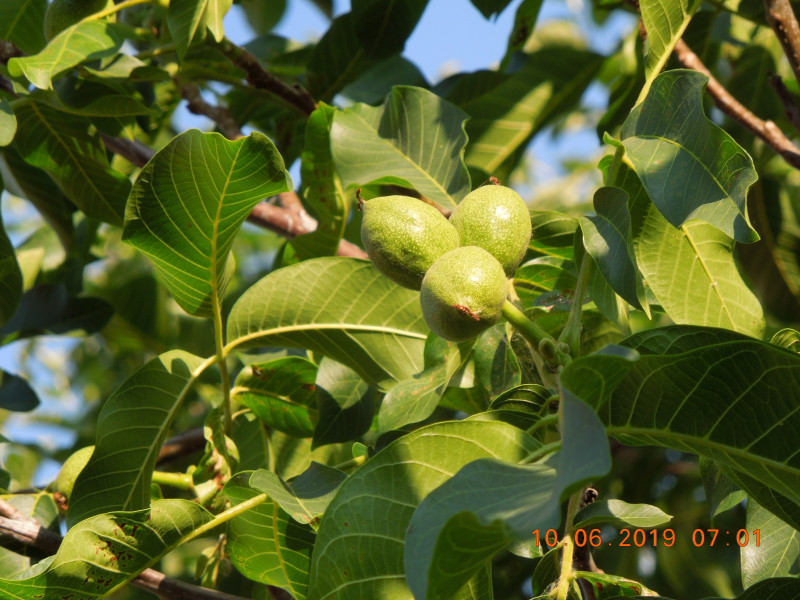 DSCN7608.JPG
