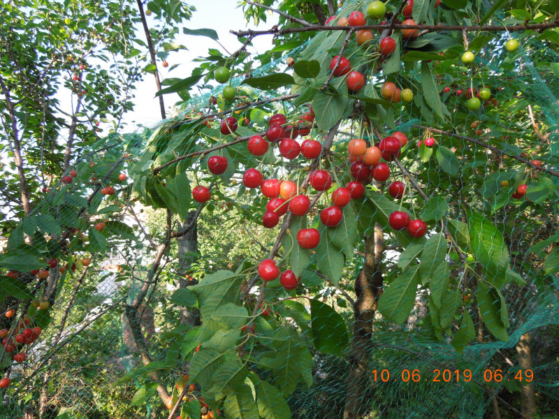 DSCN7581.JPG