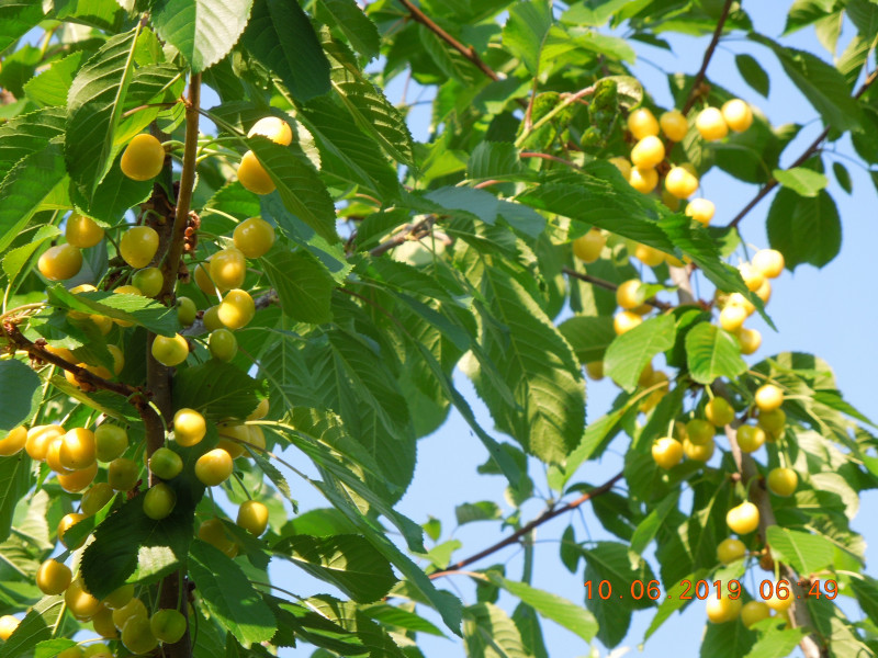 DSCN7583.JPG