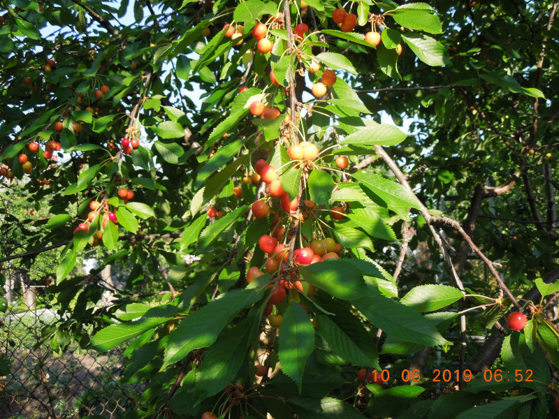 DSCN7591.JPG