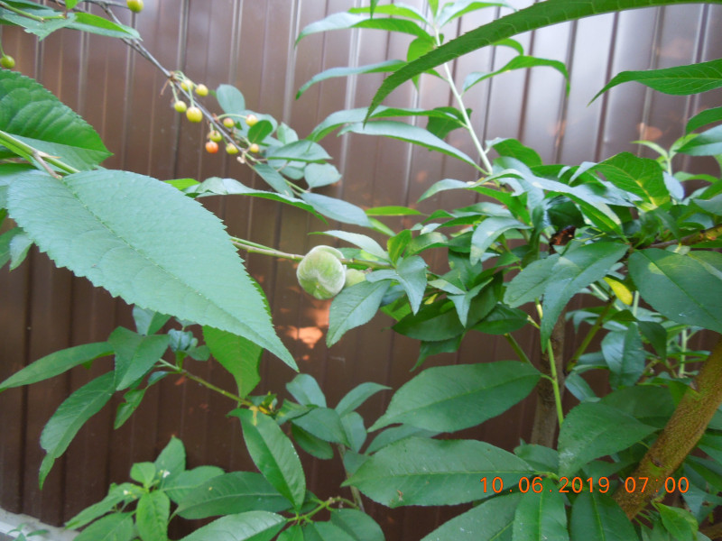 DSCN7606.JPG