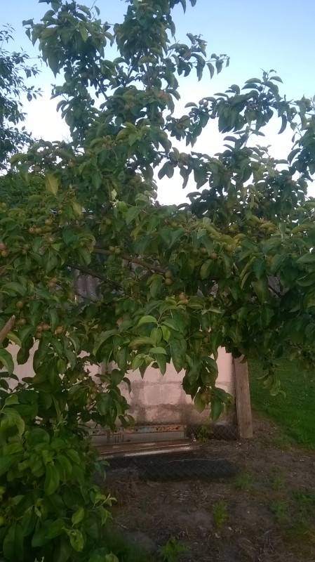 WP_20190610_004.jpg
